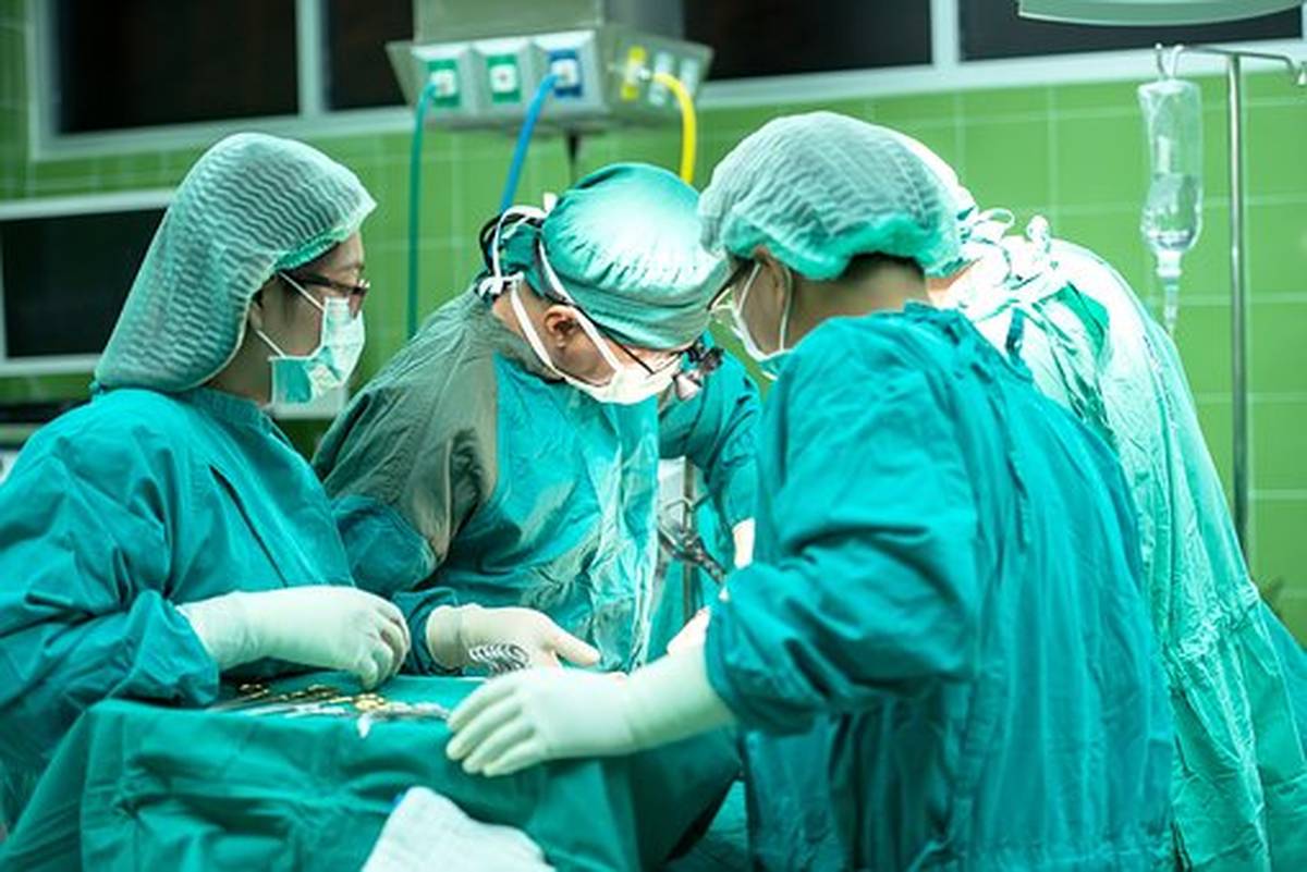 Разновидности подагра 33 - Epica Разновидности подагра 33