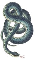 Разгледайте уред против змии 7