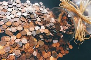 управление на богатството - 70352 вида управление на богатството - 11683 вида
