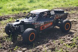Off Road Buggy - 6539 options