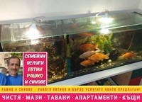 основно почистване - 39810 постижения основно почистване - 5754 постижения