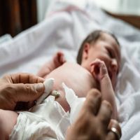 Стволови клетки от пъпна връв - 77422 бестселъри Стволови клетки от пъпна връв - 80584 бестселъри