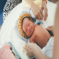 Стволови клетки от пъпна връв - 6723 новини Стволови клетки от пъпна връв - 7596 новини
