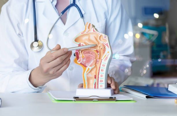 лекар унг - 37751 селекции | medicabilis.eu лекар унг - 48101 селекции